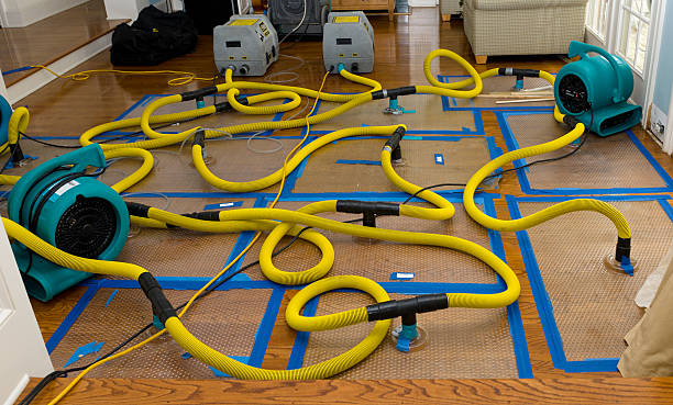 Professional Crawl Space Water Removal technician working in Derby, KS